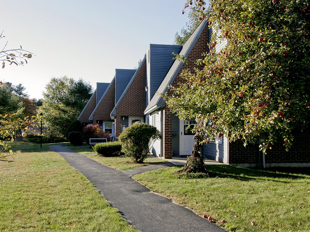Gallery Photo 7